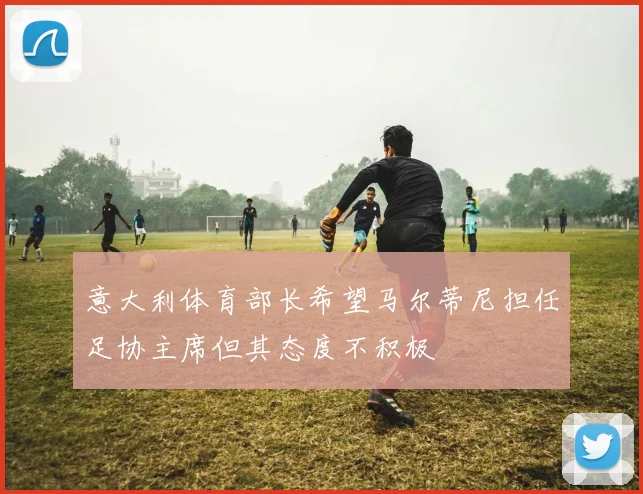意大利体育部长希望马尔蒂尼担任足协主席但其态度不积极