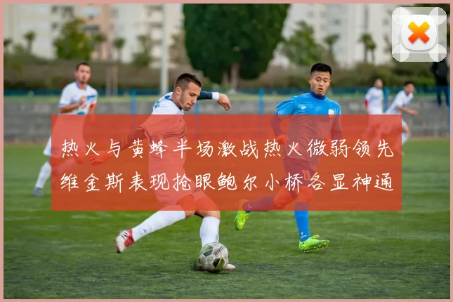 热火与黄蜂半场激战热火微弱领先维金斯表现抢眼鲍尔小桥各显神通